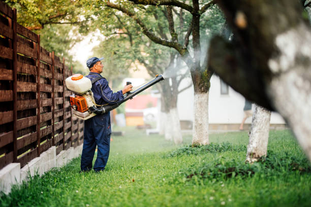 Expert Pest Removal Techniques